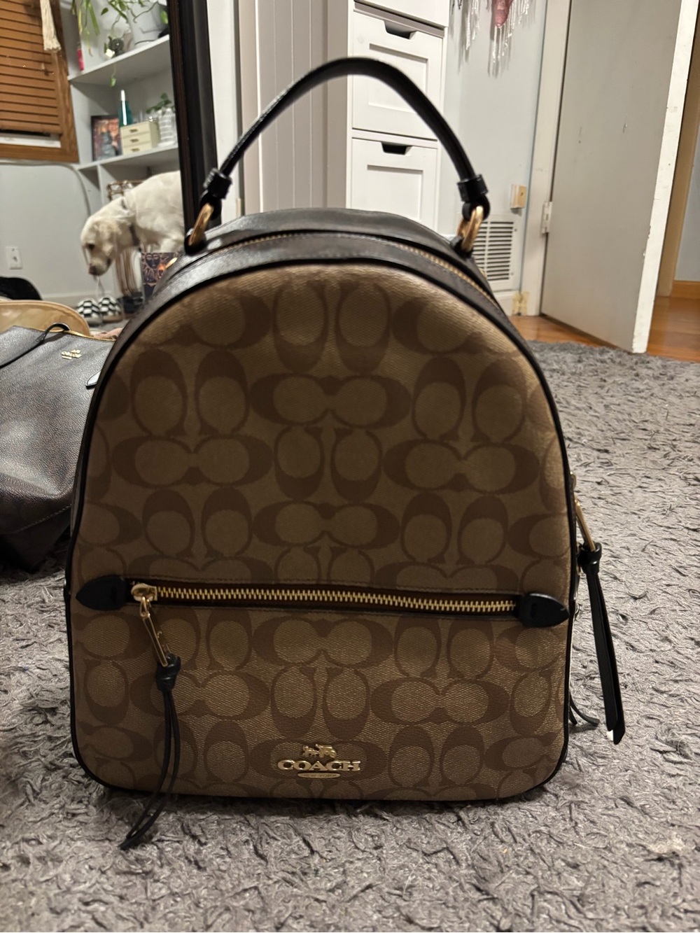 COACH BACKPACK/PURSE